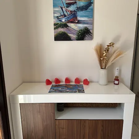 Dina 索拉纳斯